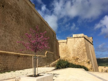 Iċ-Ċittadella w Victorii na maltańskiej wyspie Gozo, fot. Paweł Wroński
